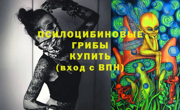 a pvp Алзамай