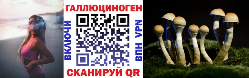 наркотики  mega ТОР  Псилоцибиновые грибы мухоморы  Чапаевск 
