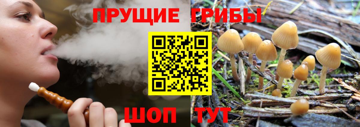 Галлюциногенные грибы прущие грибы  Вход с VPN  Чапаевск  Псилоцибиновые грибы мухоморы 